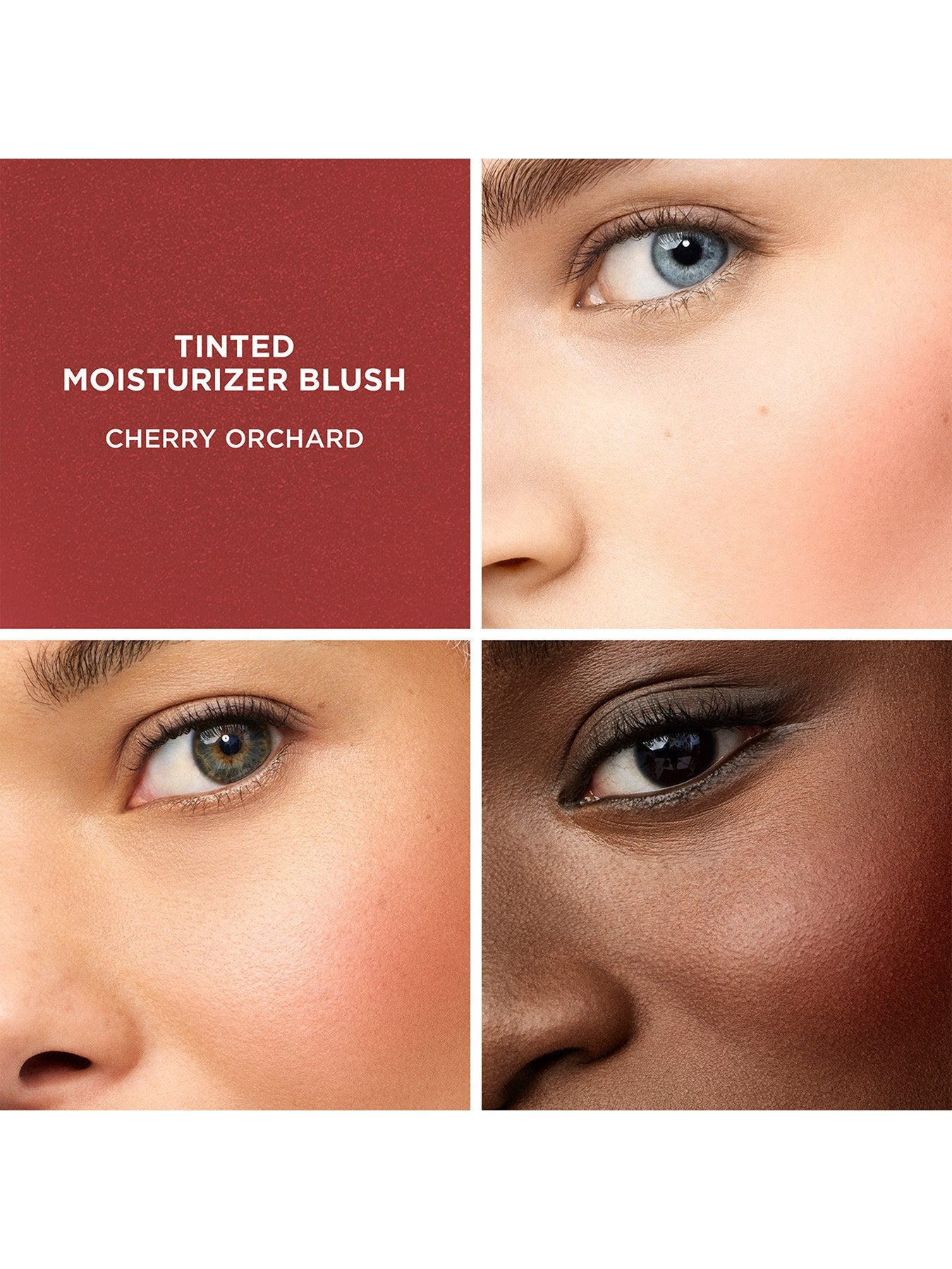 Tinted Moisturiser Blush