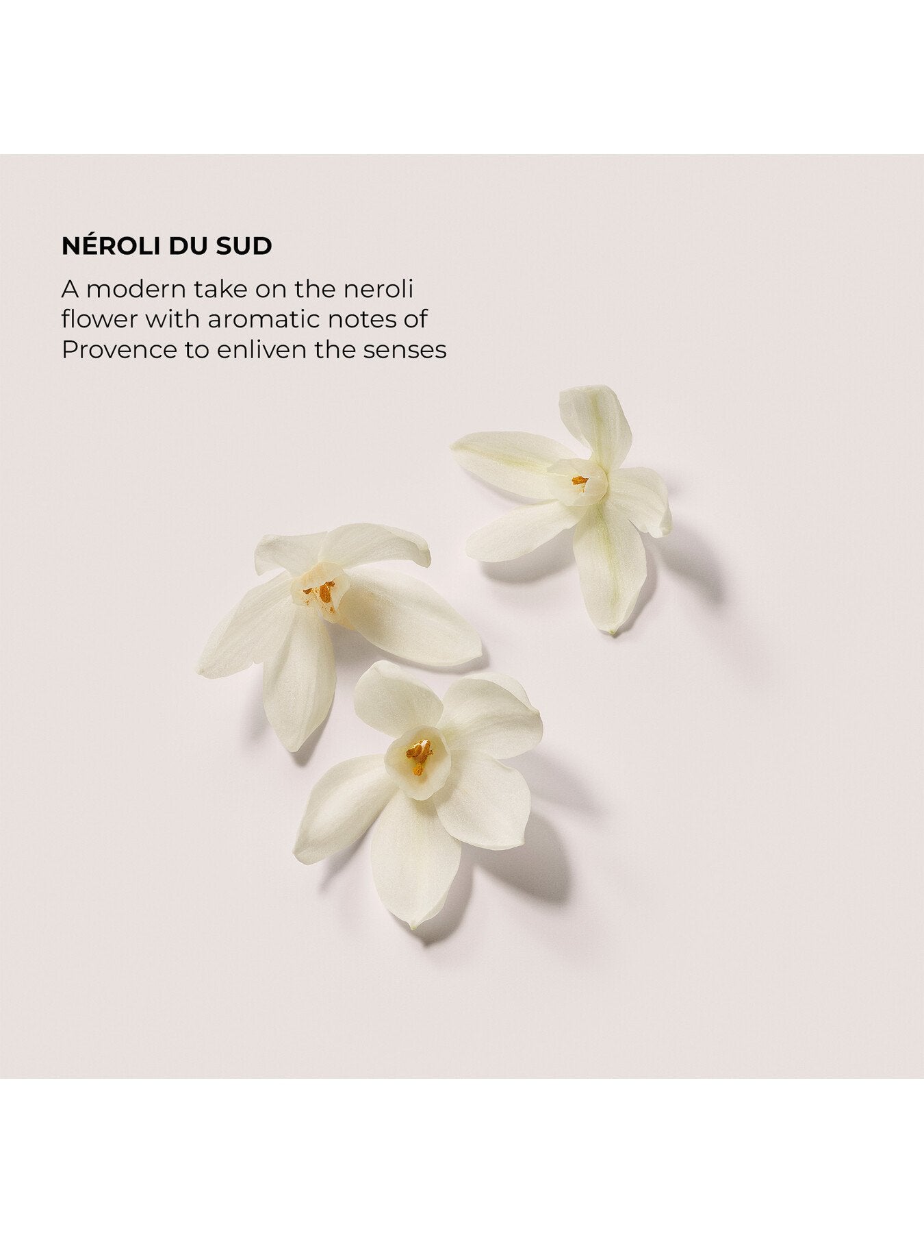 Néroli du Sud Eau de Parfum 50ml