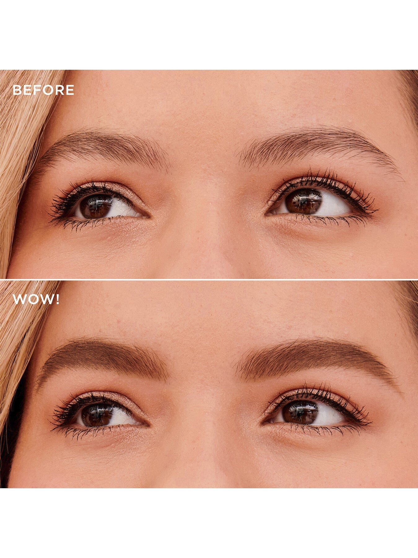 Goof Proof Brow Powder