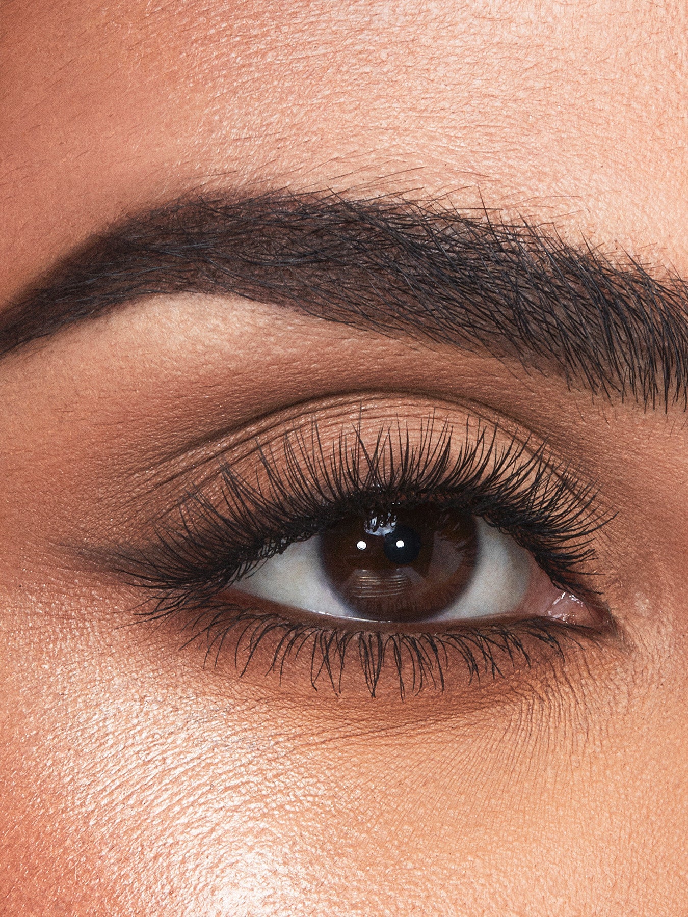 Brow Cheat Nachfüllpackung