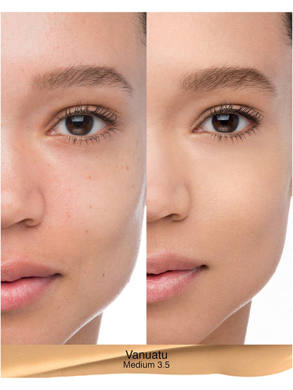Natural Radiant Longwear Foundation