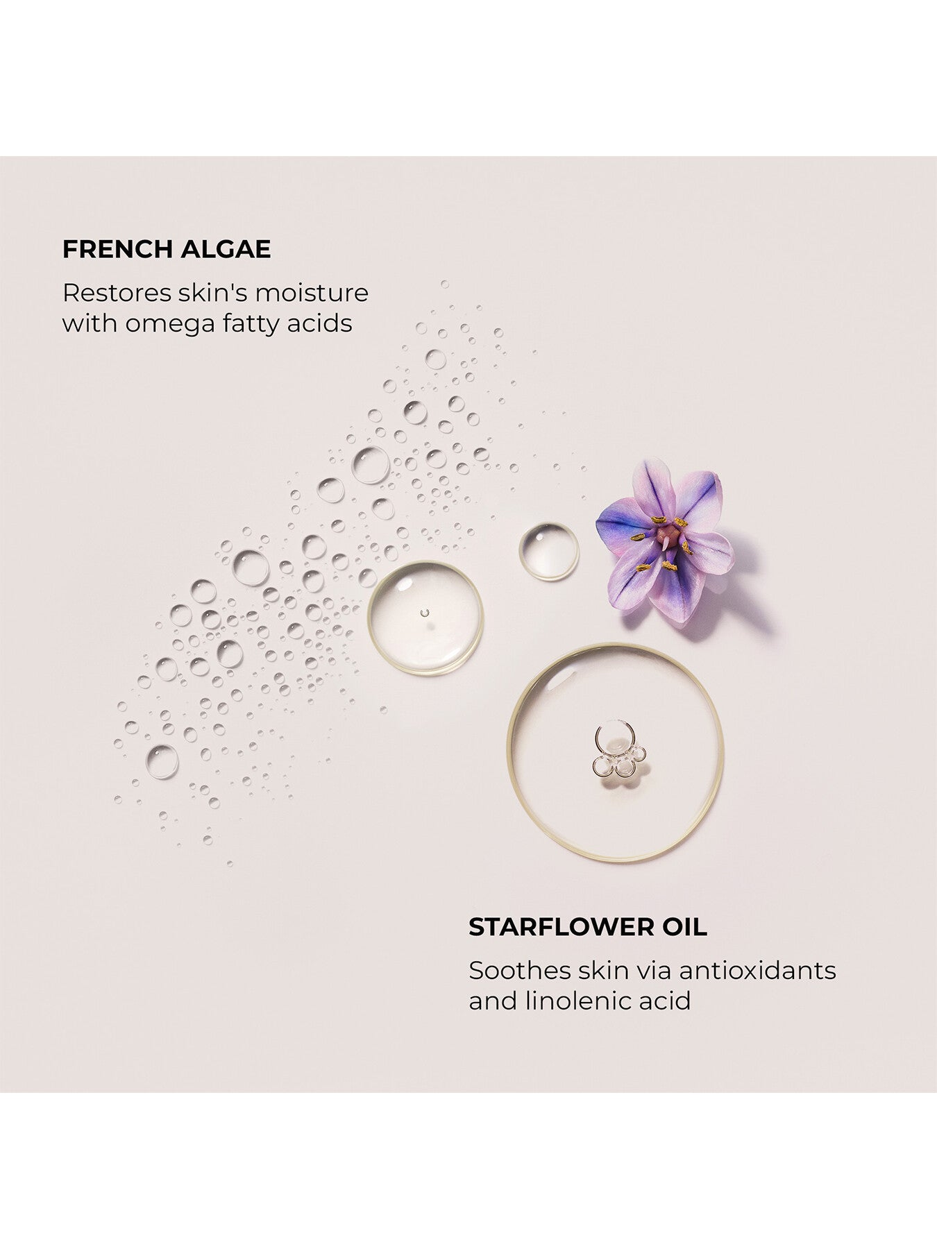 Serum Body Cream - Almond Coconut