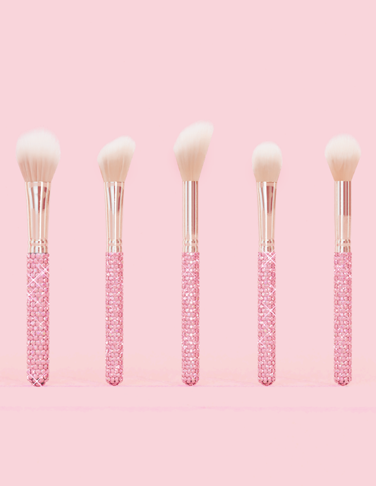 P. Louise Crystal 20 Piece Makeup Brush Bundle